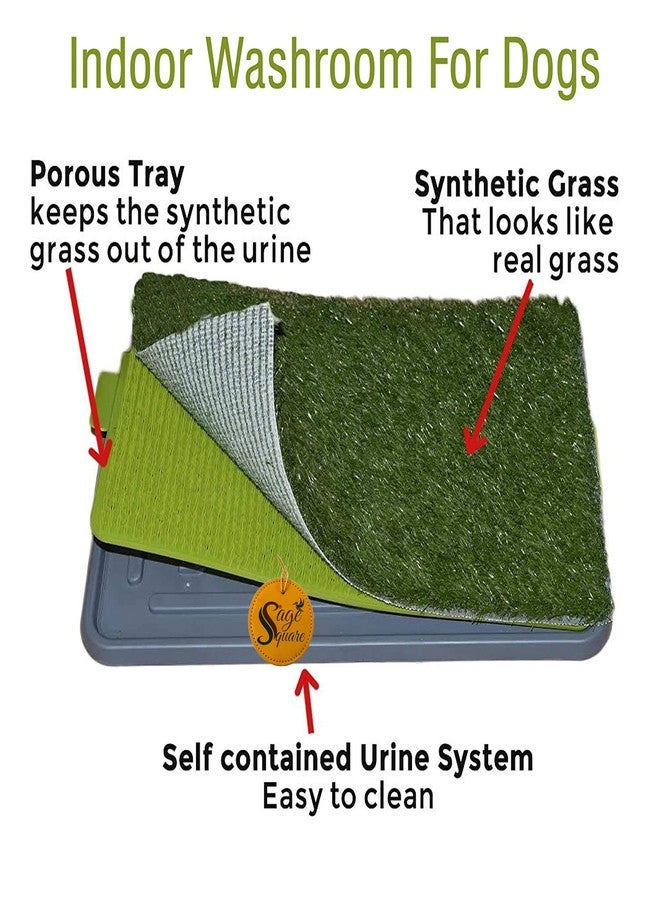 Sage Square Dog Cat Potty Toilet Patch Training Pad for Indoor or Outdoor Use, 3 Pieces Puppy Training Pad Dog Relief System (1 Set of 3 Pieces) - Image 3